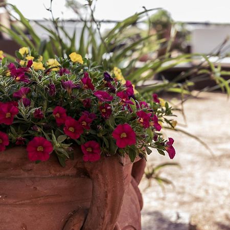 B&B Al Vecchio Forno Montepulciano Stazione Екстериор снимка